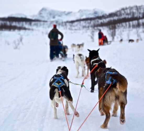 Kurzes Winterabenteuer in den Lyngen Alpen © Koppangen Brygger