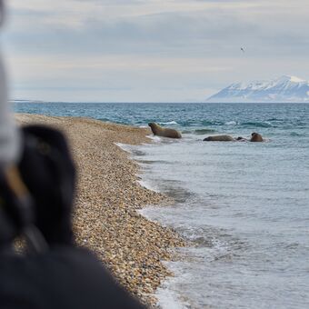 © Nordspitzbergen