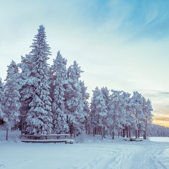 © Harriniva