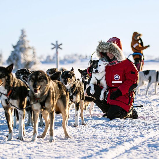 Adventure week on a dogsled