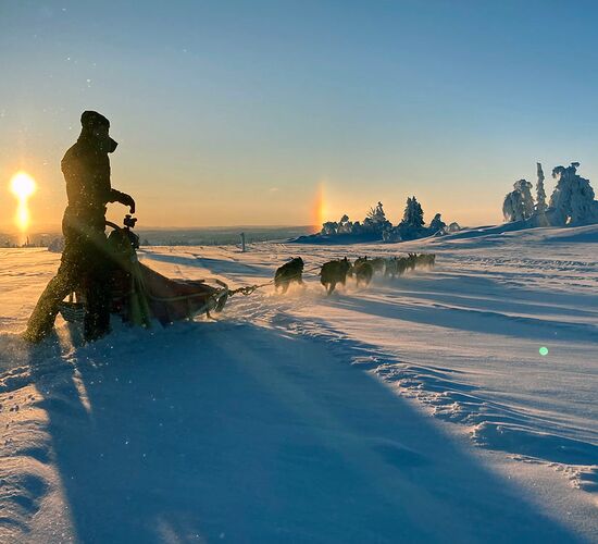 Winter week on a dogsled © taikuri