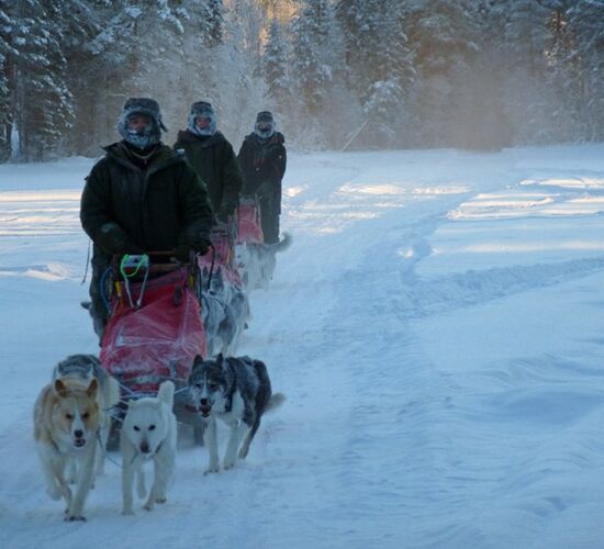 Weihnachts- und Silvesterspezial mit Huskys und Rentieren © frosty trails