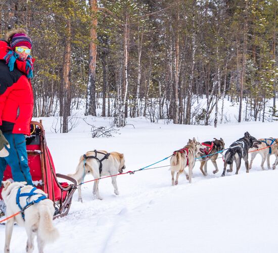 Privater Winterurlaub in Schweden © 2023 24