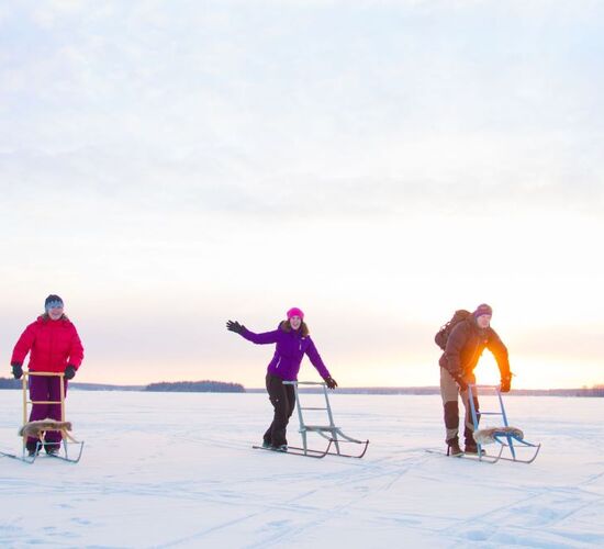Kickschlitten-Tour in Luleå © explore lulea