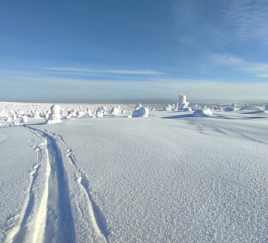 Family Christmas Holidays in Southern Lapland © hikesntrails