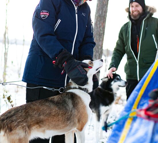 Swedish Winter Week of Adventure and Relaxation © grano beckasin