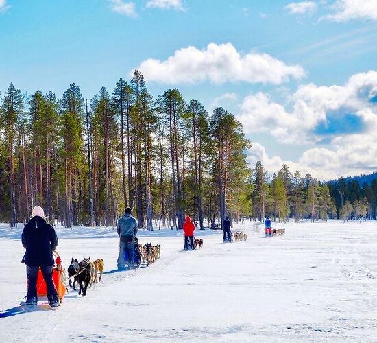 Winterwoche mit Huskys in atemberaubender Natur © whitehorizon