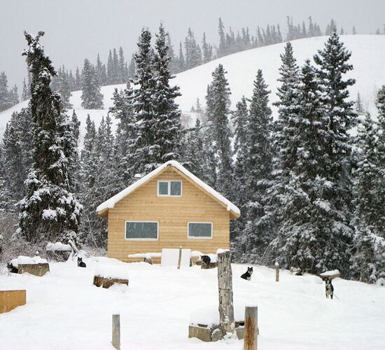 Wilderness tour with huskies in the Yukon © cathers