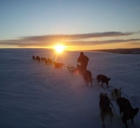 Husky Expedition zum Arktischen Meer © Sven Engholm