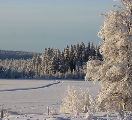 Abenteuer Wochenende: Spuren im Schnee © Huskycamp Gasa