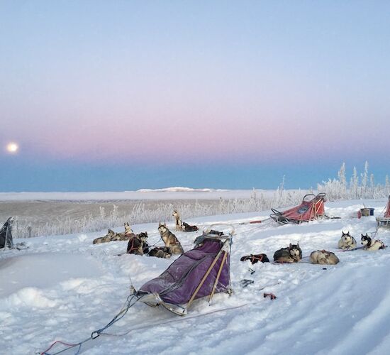 Husky adventure with overnight camping © arctic dog adventure co