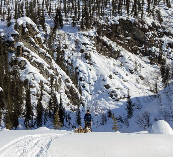 Brooks Range Husky Expedition © alaska winter adventures