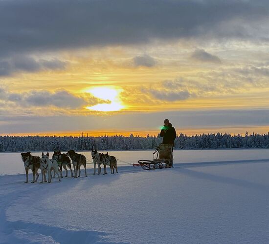 Bilder (67) Huskykompaniet