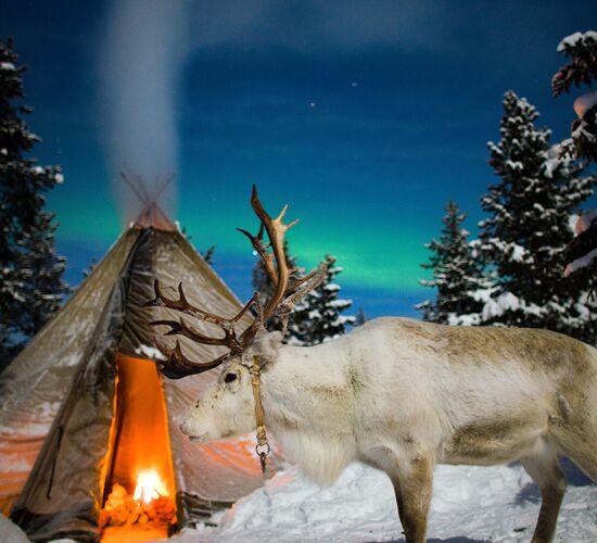 Winterabenteuer in Lappland © adventure lapland