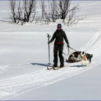 © Huskycamp Gasa