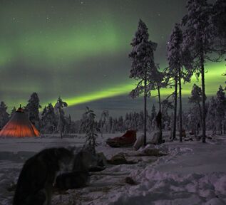 © Trails of Lapland
