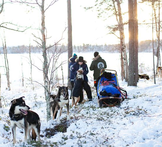 Swedish Winter Week of Adventure and Relaxation © grano beckasin