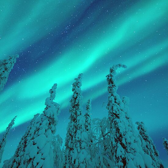 Northern Lights adventure in Lapland