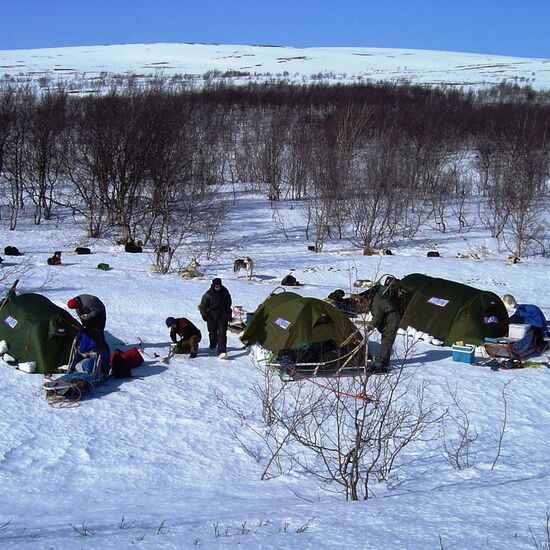 Husky Expedition zum Arktischen Meer