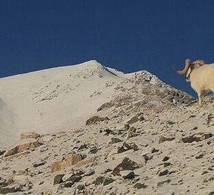 Discovery tour through Kluane © Mount LoganLodge