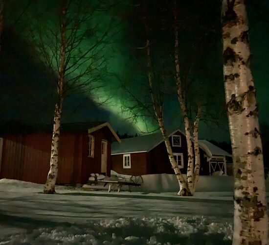 Winter Week in the North of Sweden © Huskycamp Nayeli