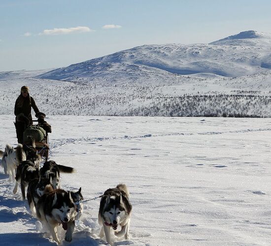 Anspruchsvolles Reiterabenteuer in Lappland © wilderness huskies siperia