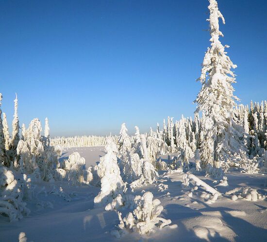 Reiturlaub Finnland © Nature Point Paljakka