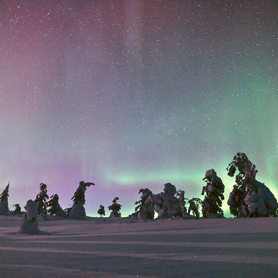 © Harriniva Hotels & Safaris