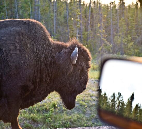 Indigenous cultural trip to the Auroras © north star adventures