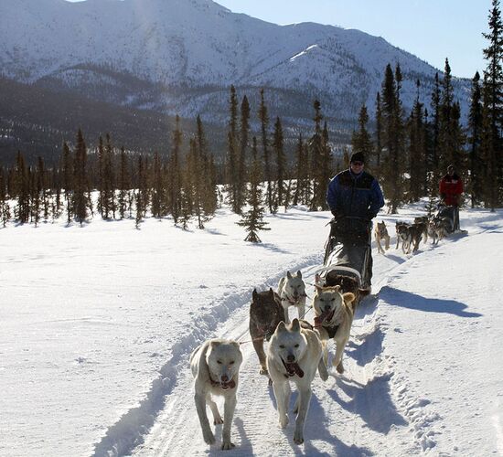 Brooks Range Husky Expedition © alaska winter adventures