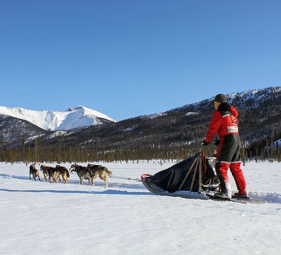 Brooks Range Husky Expedition © alaska winter adventures