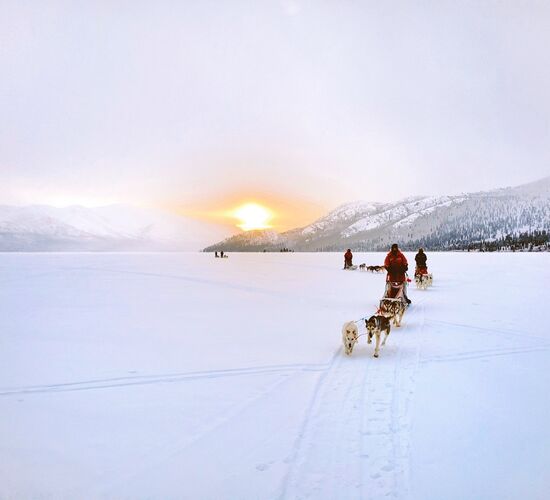 Short break with huskies in the Yukon © 23 24