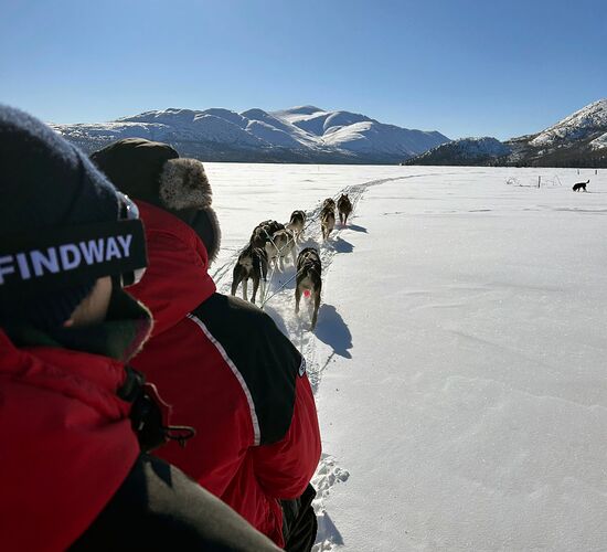 Nordlichtmagie im Yukon © Northern Tales
