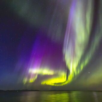 Wild East Greenland