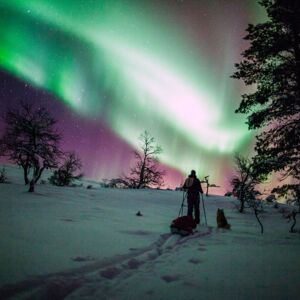 dog sledding tours finland