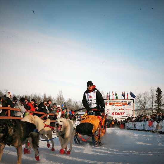 Iditarod Racing Start