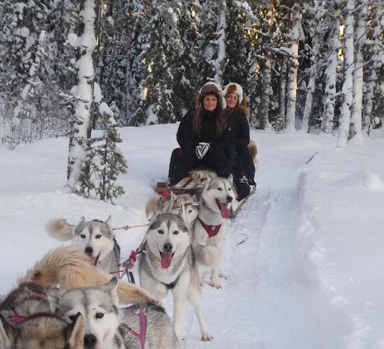 Husky holidays in Sweden's wilderness © nordic husky farm