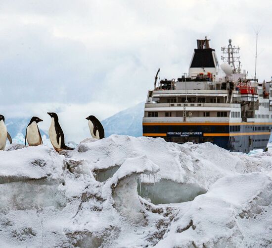 Vergessene Inseln des Südpazifiks: Subantarktische Inseln © ship heritage adventurer