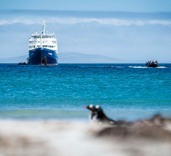 m/v Plancius © ship plancius