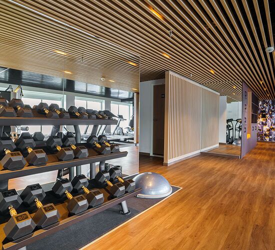 Fitness Center © ship ultramarine