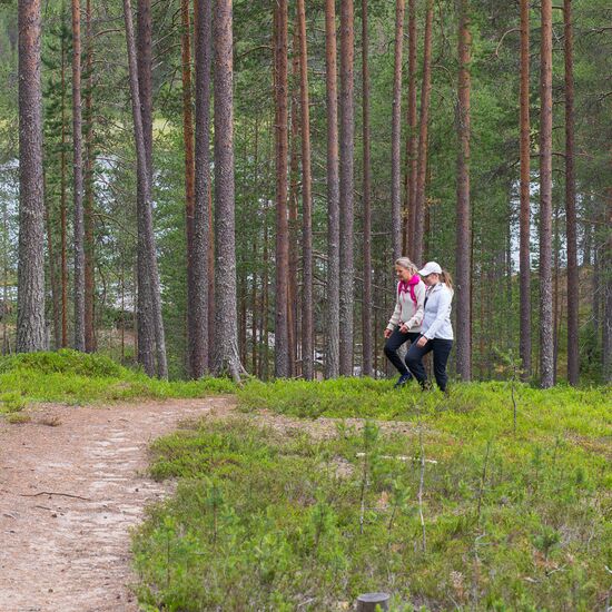 Husky Hiking Finland