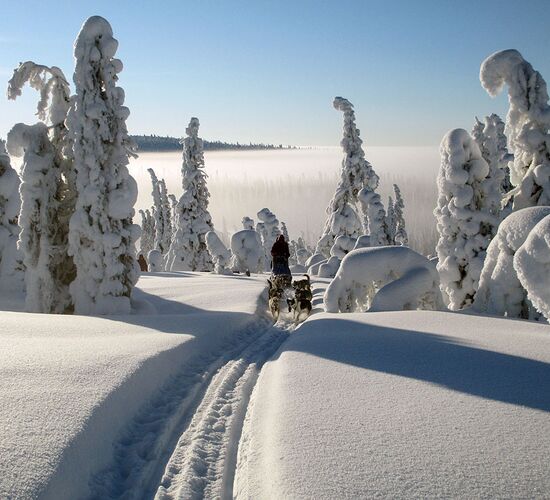 Vindelfjällens Sled Dog Expedition © petterkarlsson