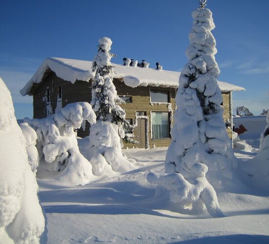 Wild & Luxury Dog Sledding © isosyoete