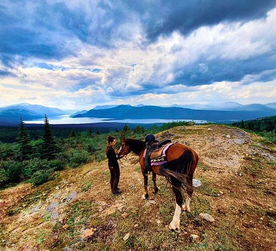 Schlittenhundetour im traumhaften Yukon © Kristina Kapusnakova