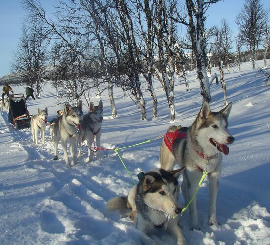 Bilder (39) Snötroll