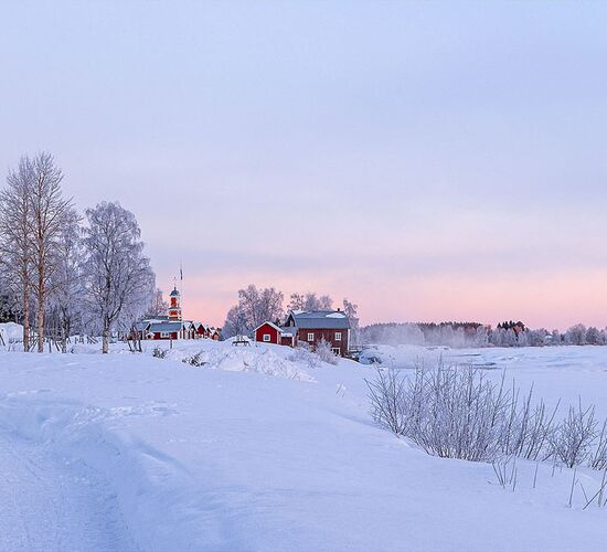 Skilanglauf © Wilma Ritsema Hollander