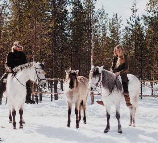 Anspruchsvolles Reiterabenteuer in Lappland © wilderness huskies siperia