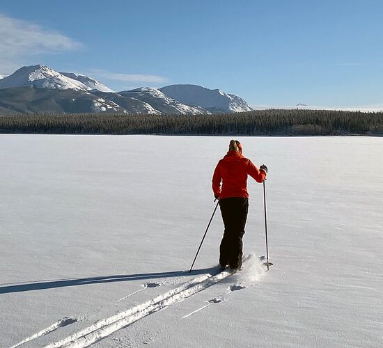 Husky Trip to the Yukon © winter