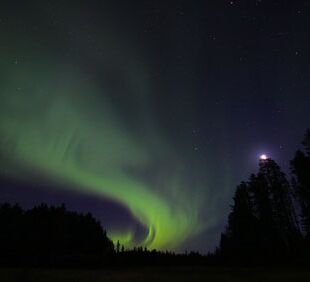 © Trails of Lapland