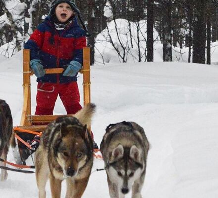 Echte Huskytour von Hütte zu Hütte © hetta husky